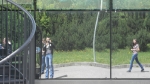 Mateusz w Genewie