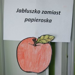 Jabłka_22