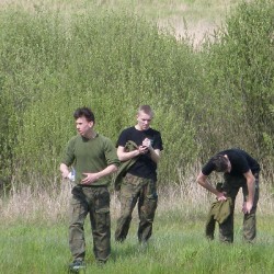 Sjż 2016_131