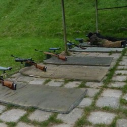 Sjż 2016_19