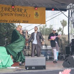 jarmark zygmuntowski