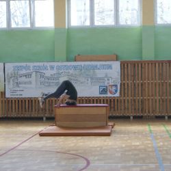 Sprawni jak Żołnierze