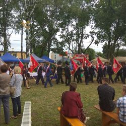Rok 2018 / 2019