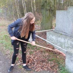 Porządkowanie cmetarza 