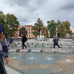 wpzf22